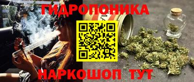 2c-b Новодвинск