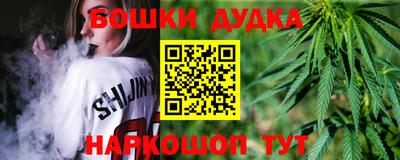 крисы Новозыбков