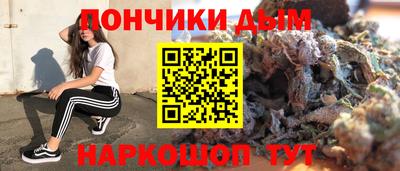 крисы Новозыбков
