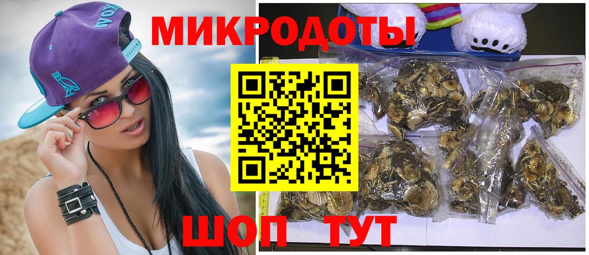 Псилоцибиновые грибы ЛСД  Вход с VPN  дарнет шоп  Тамбов  Псилоцибиновые грибы Cubensis 